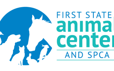 First State Animal Center and SPCA